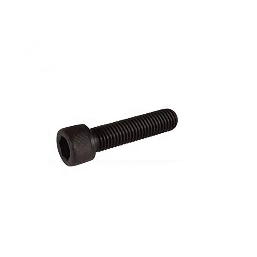BLUNT Clamp Bolts 25mm x1